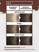 6.1 КОРИЧНЕВО-ПЕПЕЛЬНЫЙ (Ash Brown)