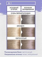 8.1 ДЫМЧАТО-ПЕПЕЛЬНЫЙ (Smoky Ash)